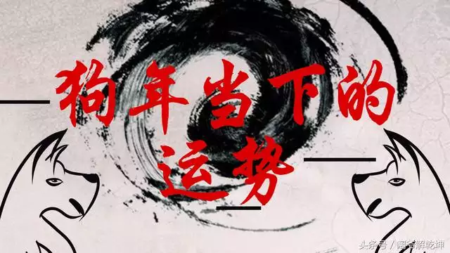 屬狗的怕什麼生肖，屬狗與什麼屬相相剋