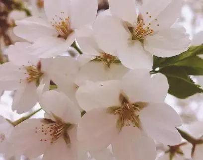 2年属狗什么时候翻身，属狗2022