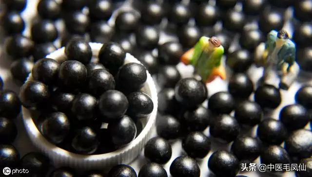 吃什麼食物補腎更好，長期補腎吃什麼好