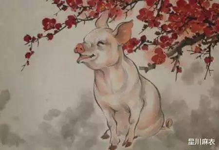 屬豬和屬羊的合不合，豬和羊在一起財運怎麼樣