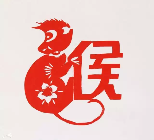 屬鼠人和哪個屬相合作最適合，屬鼠的合伙人更佳屬相
