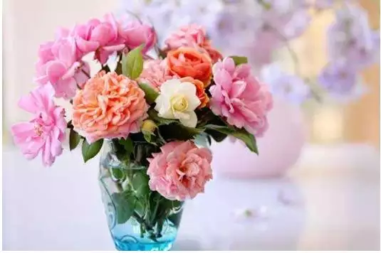 屬馬適合跟屬什麼交朋友,屬馬的和什麼屬相最配合適