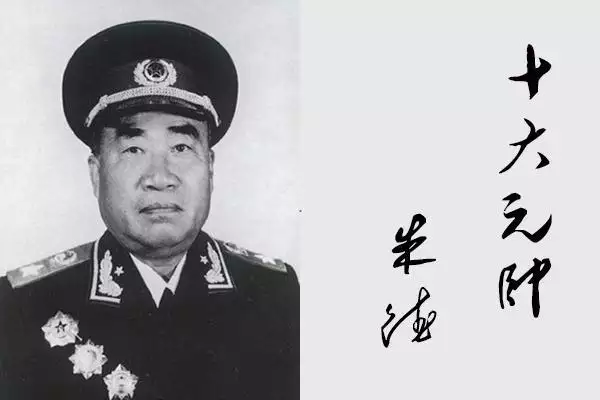 属虎的年龄分别是多少岁，属虎男和属猪女婚姻分数