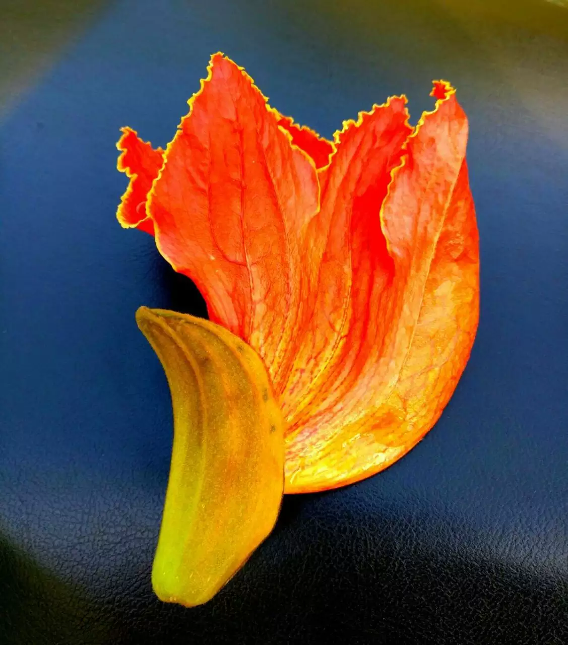 2、一把香燃燒后像開的花:一把香燒香形狀成一花狀
