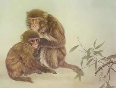 农历九月属狗的人命运如何，冬至出生的人命运如何