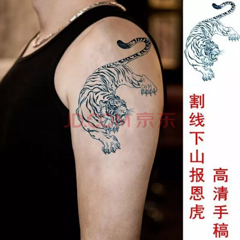 4、女虎和男龍的婚配好不好:男龍女虎相配好嗎？