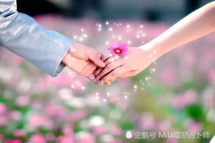 3、测我近期的爱情运势:测今年运势爱情