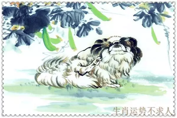 994年屬狗哪年結婚好，屬狗忌諱幾月出生農曆"