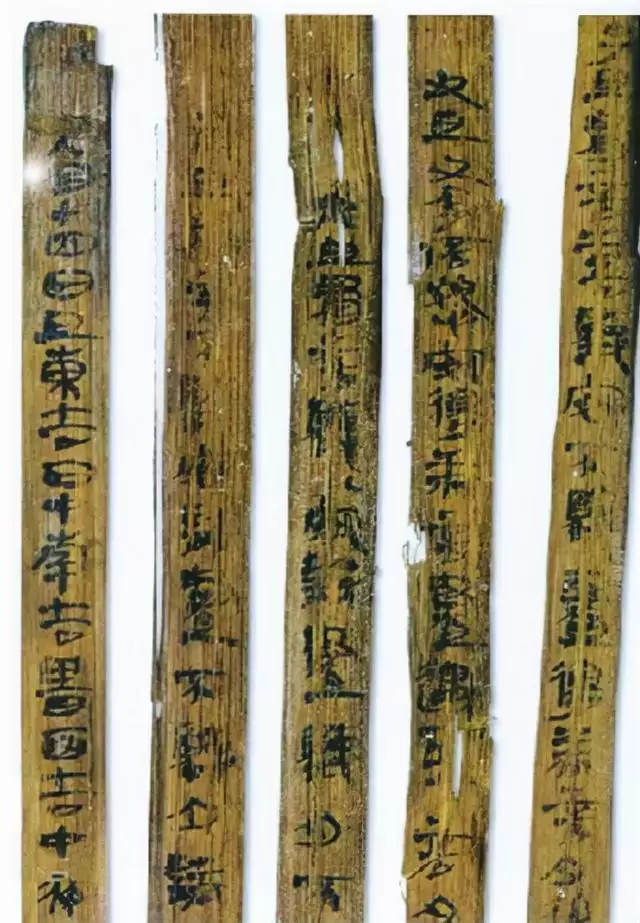 2生肖各自命運，12生肖動畫片"