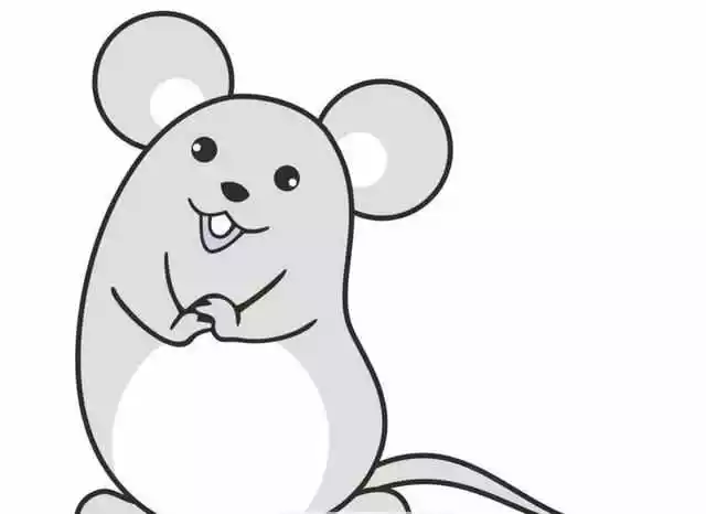 4、二十岁生肖属相是属什么:20岁属什么属相