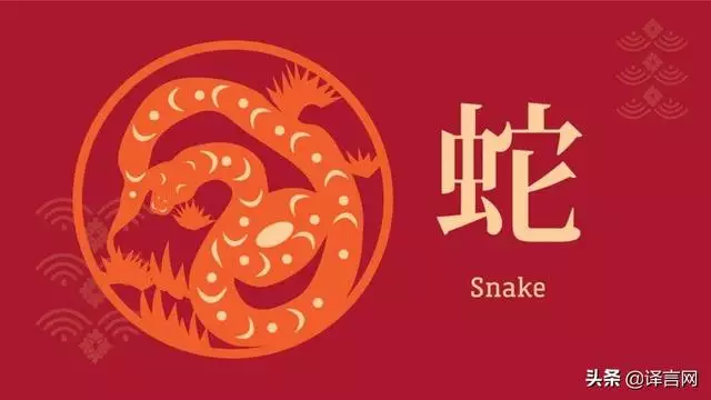 十二生肖每月運勢查詢2022年，2022年財運好的生肖