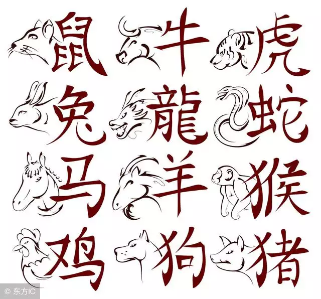 屬虎的婚姻怎麼樣，24歲屬虎今年婚姻狀況