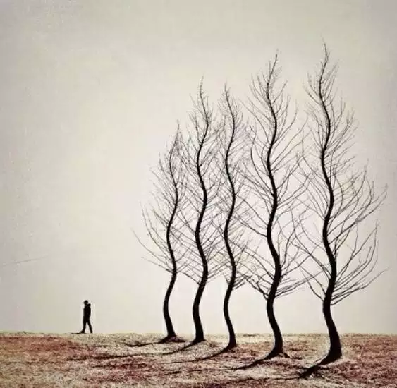 3、测一测你还会单身多久八字:帮我的漂亮妹妹测下八字,为什么至今还单身?