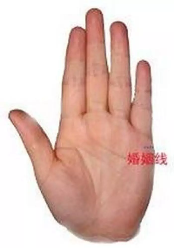 3、看手相测婚姻免费:看手相 测姻缘