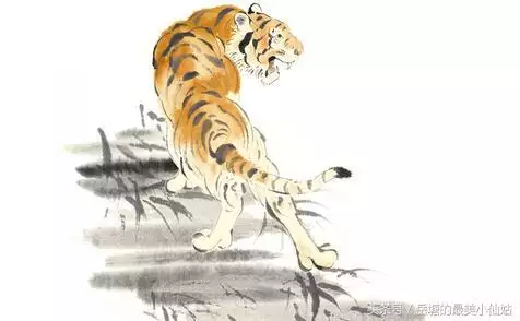 属虎与属什么婚配更好，98属虎一生三大坎