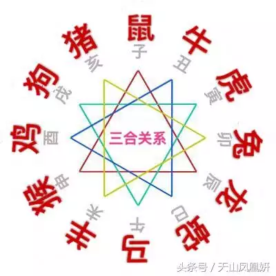屬猴三合貴人是什麼，屬猴的三合和六個合生肖貴人