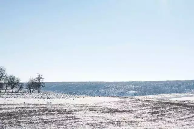 022年必將複合的星座，2022年破鏡重圓的星座有哪些"