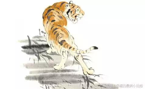 男虎與什麼屬相最配,男虎和什麼屬相最配對