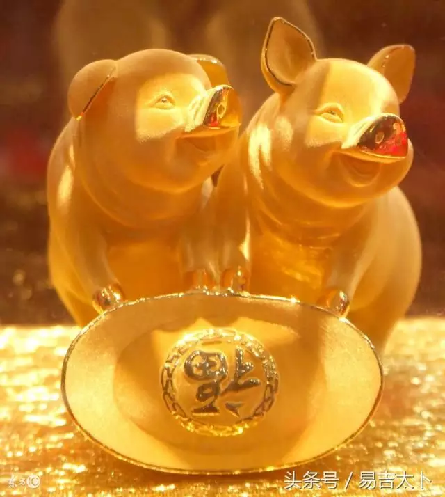 3、属狗的和猪属相配不配:属猪与属狗的能相配吗