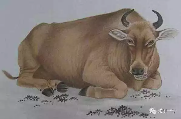 022屬牛人全年運勢女,2022屬鼠人全年運勢"