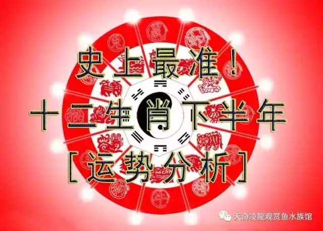 022年下半年最倒霉的生肖,2022年最倒霉的生肖女"