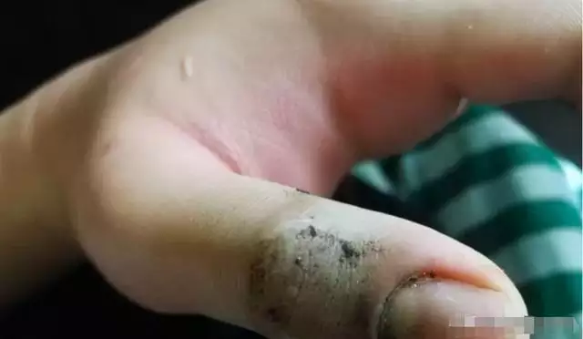 鼠和蛇父子好不好,蛇爸生鼠寶寶好不好