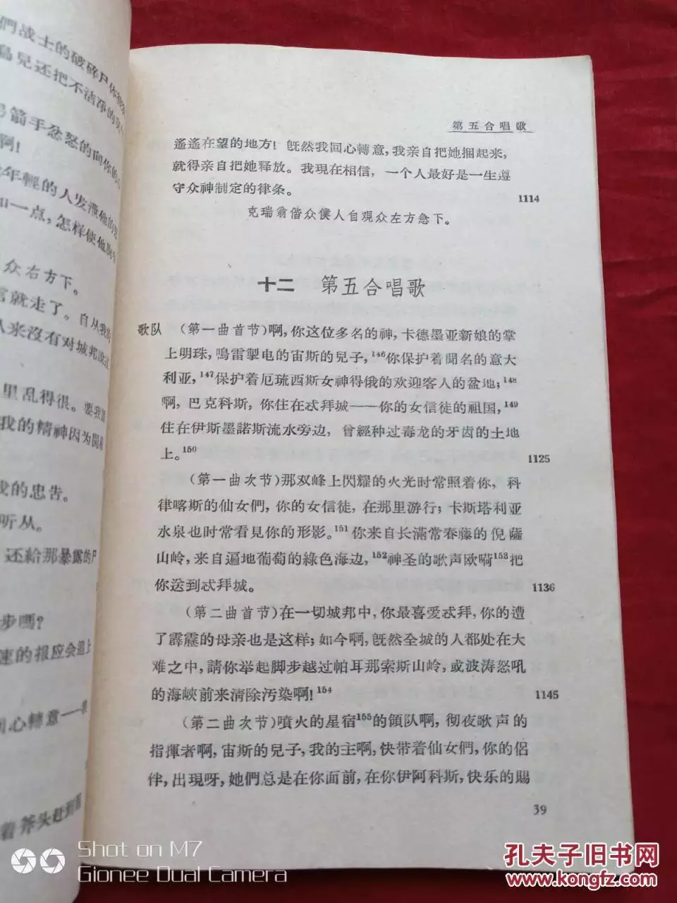 979年正月出生的命運，1979年羊2022