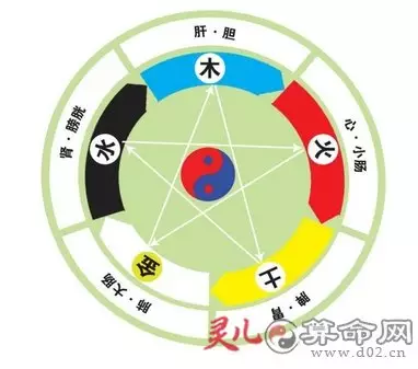 十二生肖对应五行表