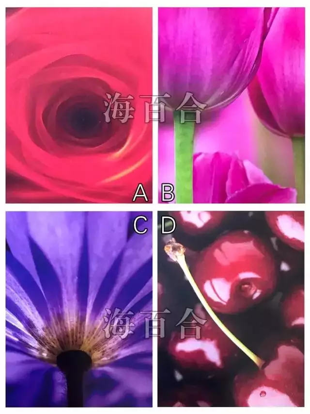 測算兩人婚姻合不合，測另一半的姓名超准