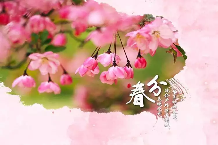 6、春分前出生的属相算哪一个:春分时节是什么生肖