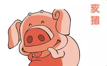 2、属猪人最苦命出生时辰:十二生肖属猪出生时辰与命运，属猪什么时辰出生