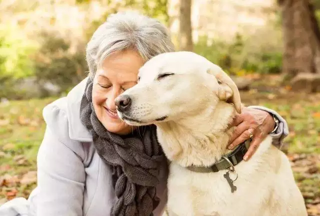 羊的一生有三坎,屬羊今年有個坎