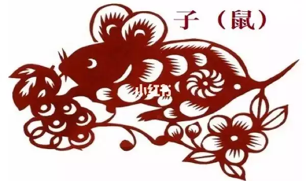 022年12生肖每日運勢，2022年犯太歲的生肖"