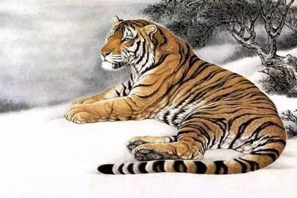 1、年最凶的4个生肖:年犯太岁的生肖怎么化解