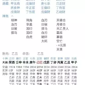 八字命理术语大全
