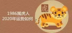 4年属虎是什么命，74年属虎人今年运程"