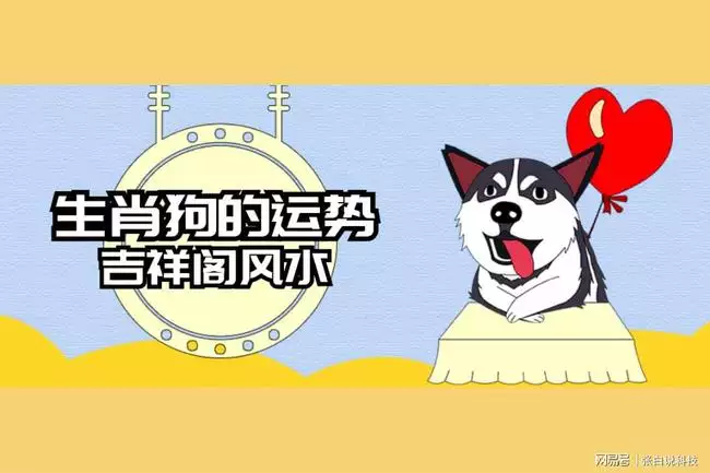 生肖狗2022年的運勢，1982生肖狗2022年財運