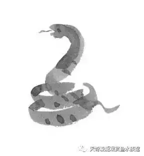 022年下半年最倒霉的生肖,2022年最倒霉的生肖女"