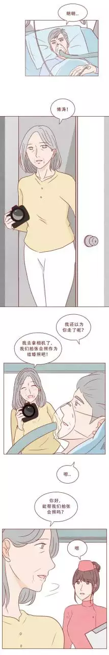 屬虎和屬猴的夫妻結局，幾月猴和屬虎的不相衝