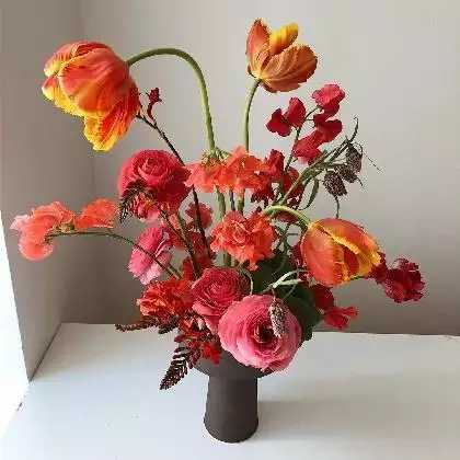 属虎的四大桃花年，2022 年12生肖桃花劫