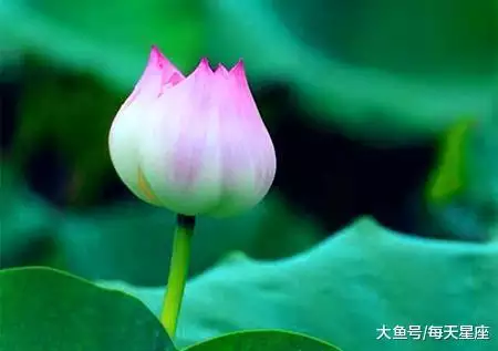 2、属猴的打麻将哪个位置好:属猴人麻将财运