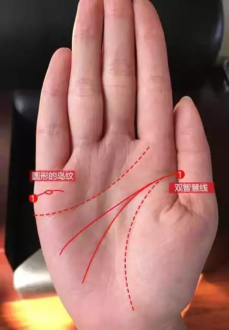 麦玲玲说邓文迪八字