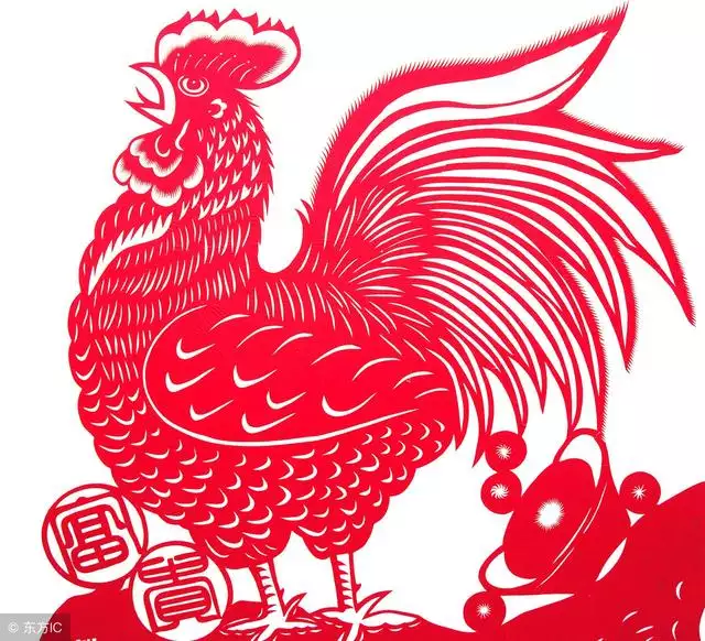 屬雞人終身運勢，生肖雞的性格