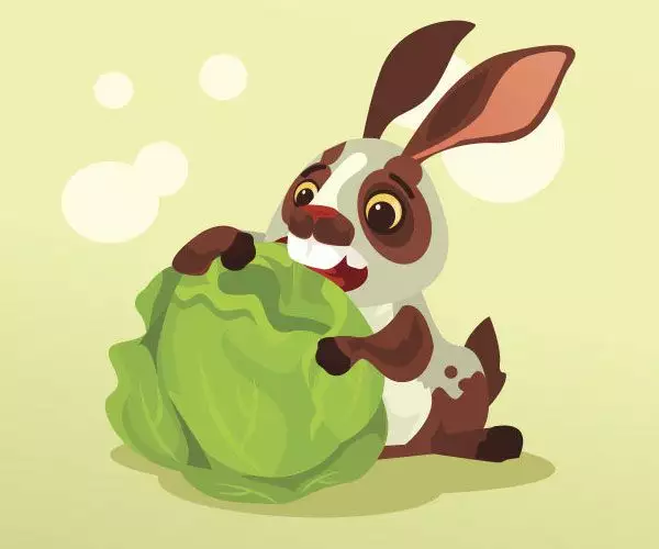 屬兔的男性更佳配偶,生肖屬兔的更佳配偶是什麼