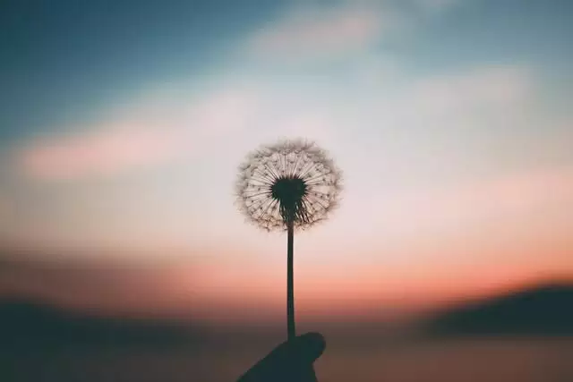 4、啥時候遇到人生的另一半:人這一生一般到什麼年齡遇見自己自己的另一半