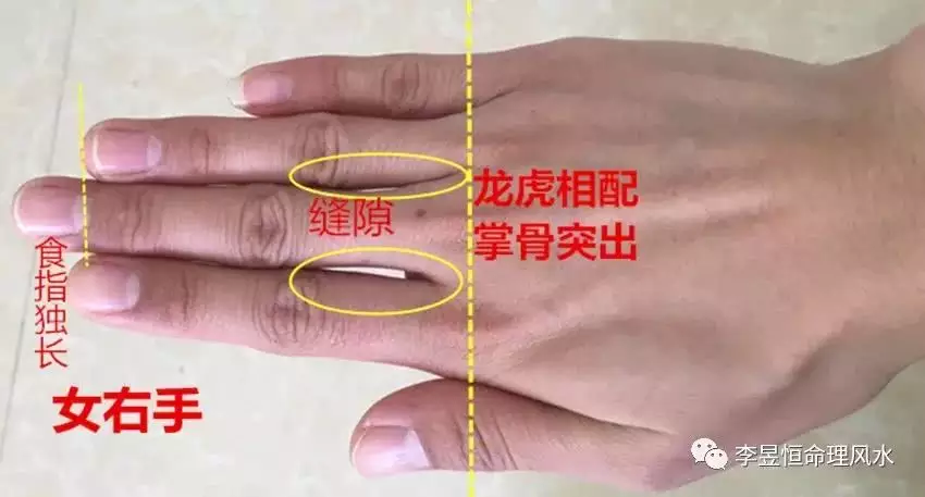 3、龍虎能婚配嗎:龍虎可以配婚嗎