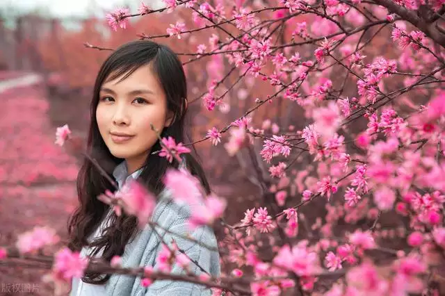 3年屬牛的女人今年每月情況，85屬牛人2022