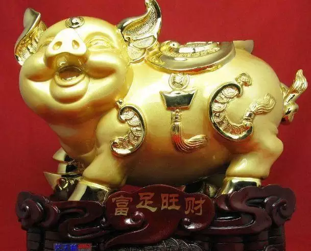1、属猪的女性今年运势:95年属猪的。。。。今年运势