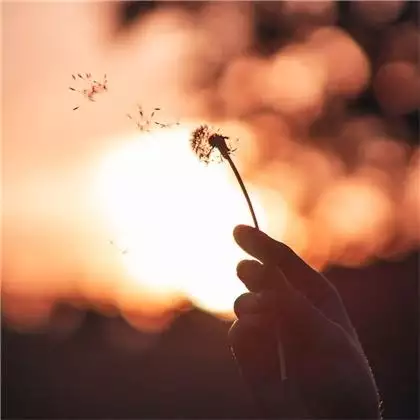 屬兔的情劫是哪個屬相，屬兔的桃花劫