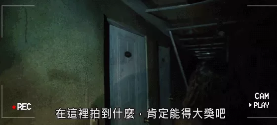 兩個91的羊相配是絕命婚，1991年女羊與1991男羊